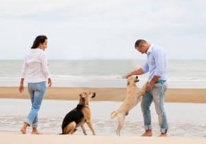 Dog Obedience Sydney