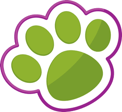 Cause for Paws Dog Training