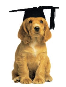 Dog Obedience Training Graduation