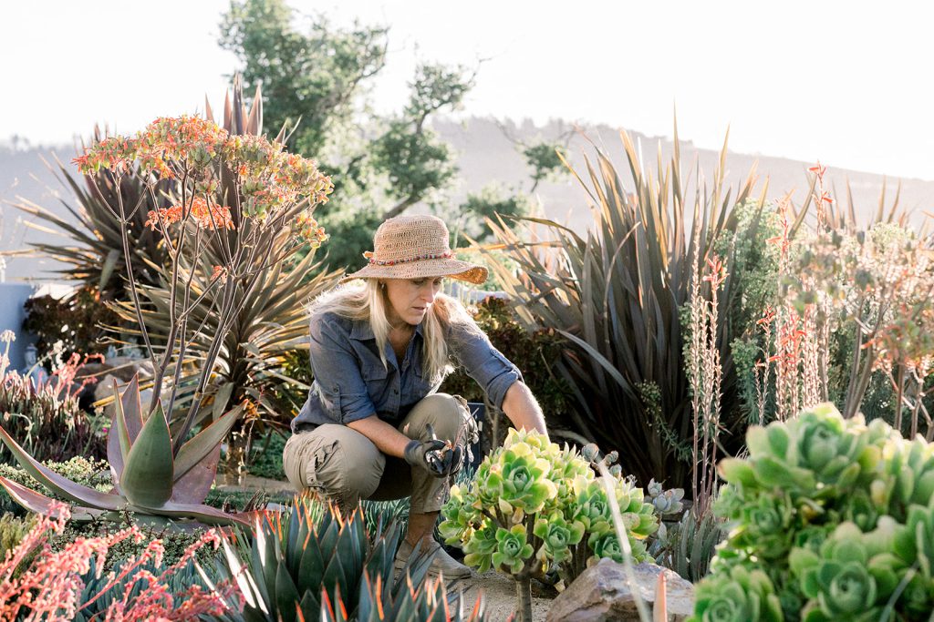 Lisa Mattson in succulent garden