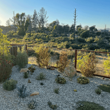 backyard succulent garden by Sonoma Succulents