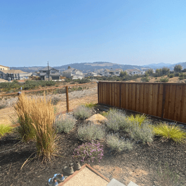 backyard before and after succulent garden design