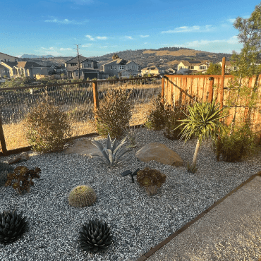 succulent garden design after a wildfire