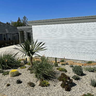 container house with succulent garden drought tolerant garden