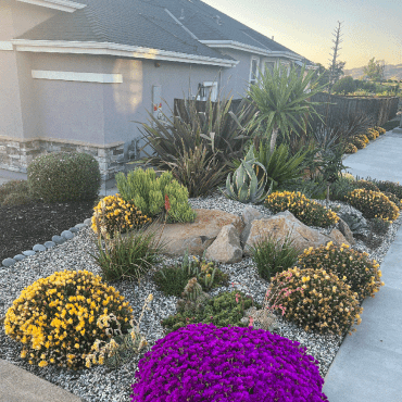 using boulders in succulent garden design when rebuilding after a wildfire