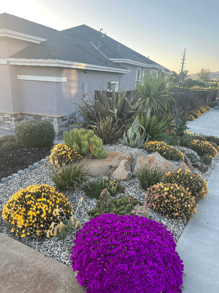 using boulders in succulent garden design when rebuilding after a wildfire