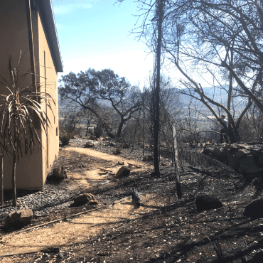 garden destroyed after wildfire