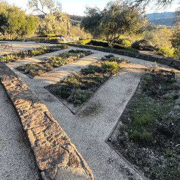 Before photo of English garden converted to a succulent garden