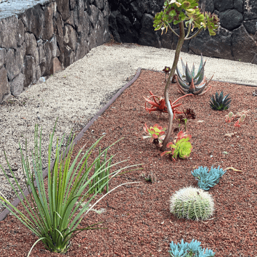 English garden bed after redesign with succulents