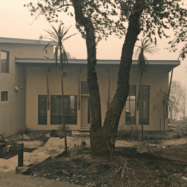 front yard after wildfire damage