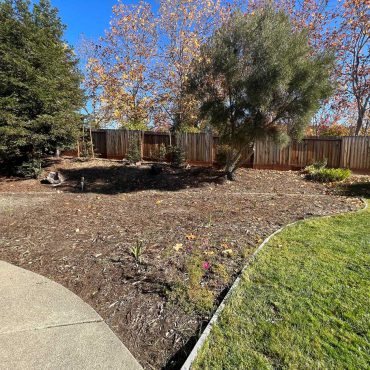 side yard with grass before succulent garden redesign