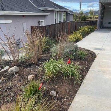 yard with overgrown grasses and weeds before succulent garden design