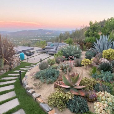 colorful succulent garden design in Sonoma County at sunset, planted on a hillside