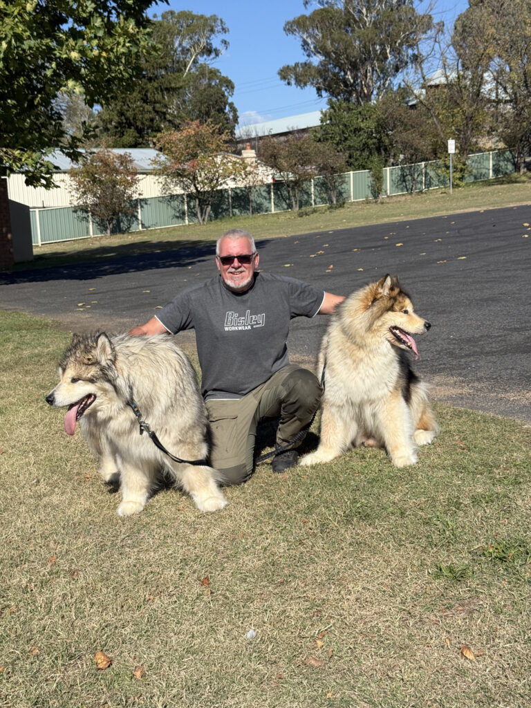 Dog Behaviourist and Dog Trainer